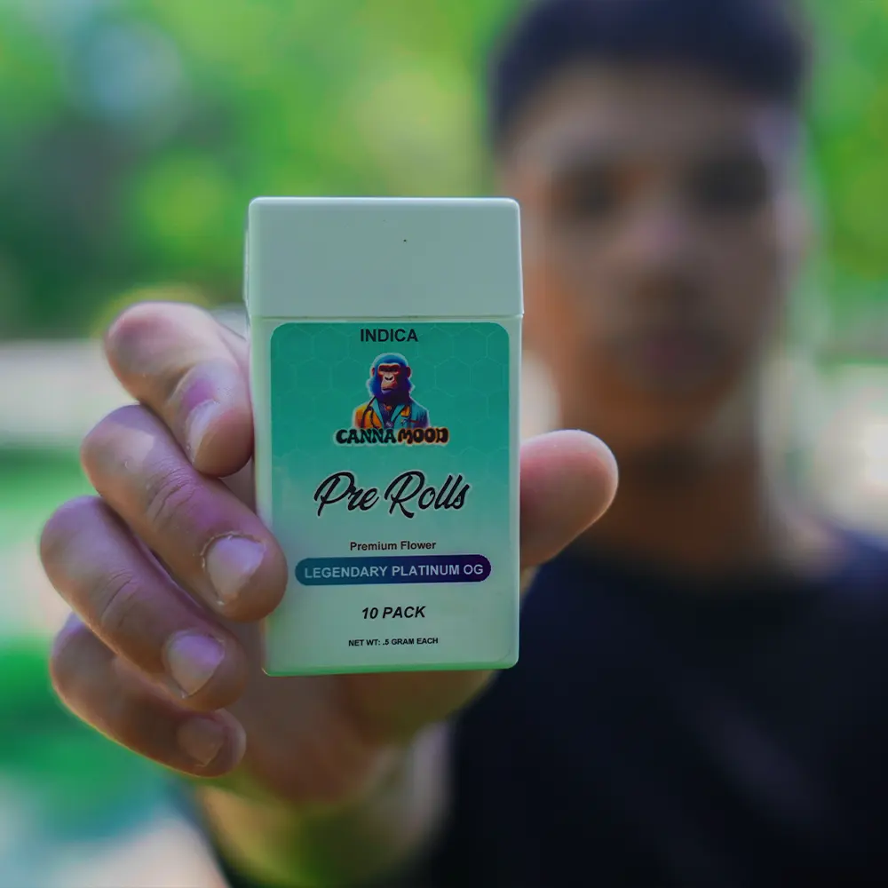 canna mood model holding legendary platinum og 10 pack