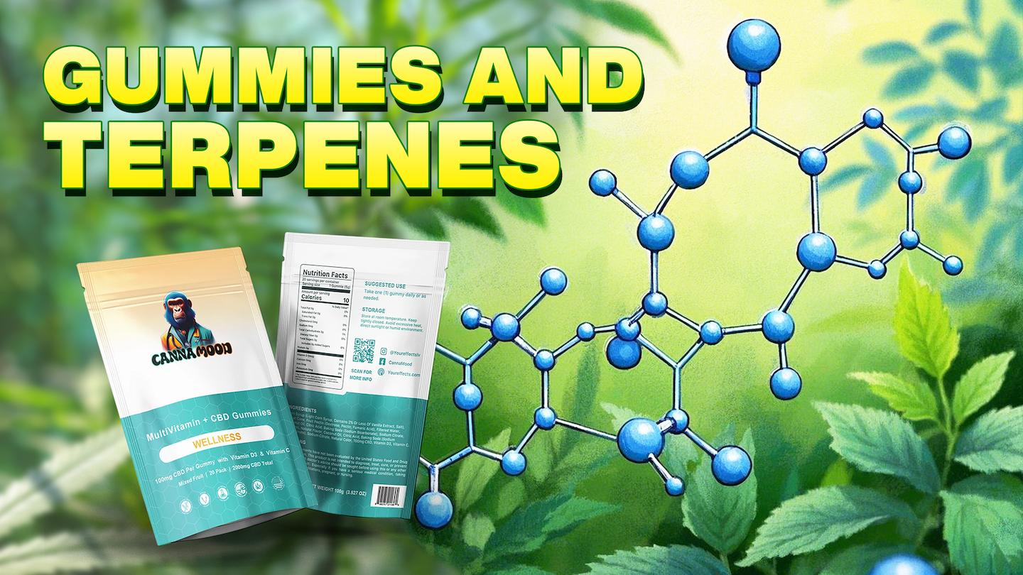 CBD Gummies For Anxiety