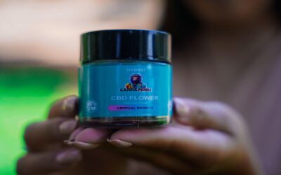 Is Promoting CBD Affiliate Links Safe? Navigating the Challenges and Risks