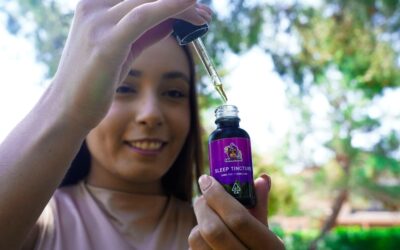 CBD Affiliate Programs for Beginners, Understanding the Basics and How to Get Started