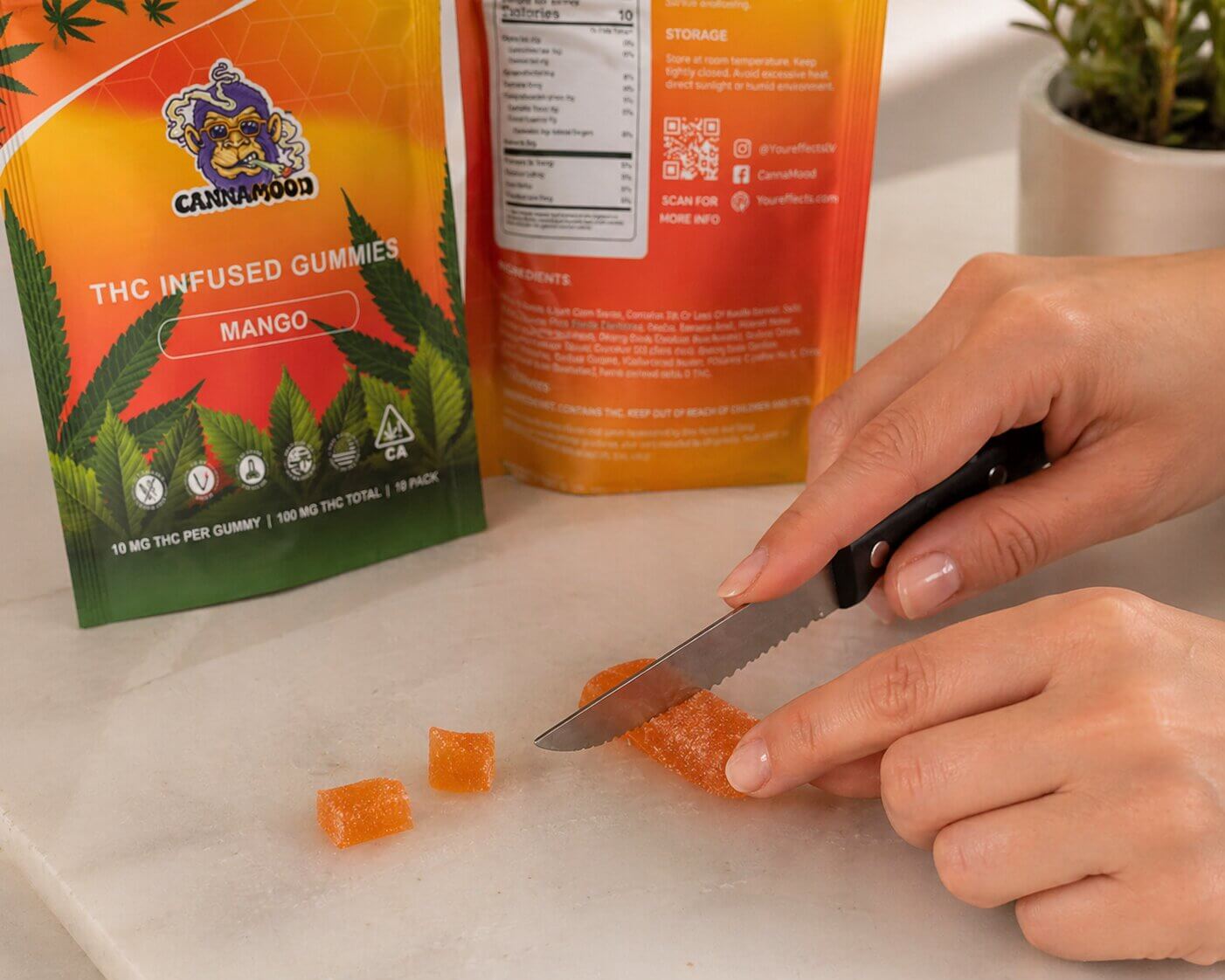 cutting 100mg thc gummy safe dosing cutting 100mg thc gummy safe dosing