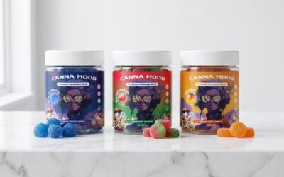 What Are CannaMood Mushroom Gummies? A Complete Buyer’s Guide to Functional Mushrooms