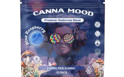 Where to Buy Mushroom Gummies in Las Vegas (and Online Nationwide)