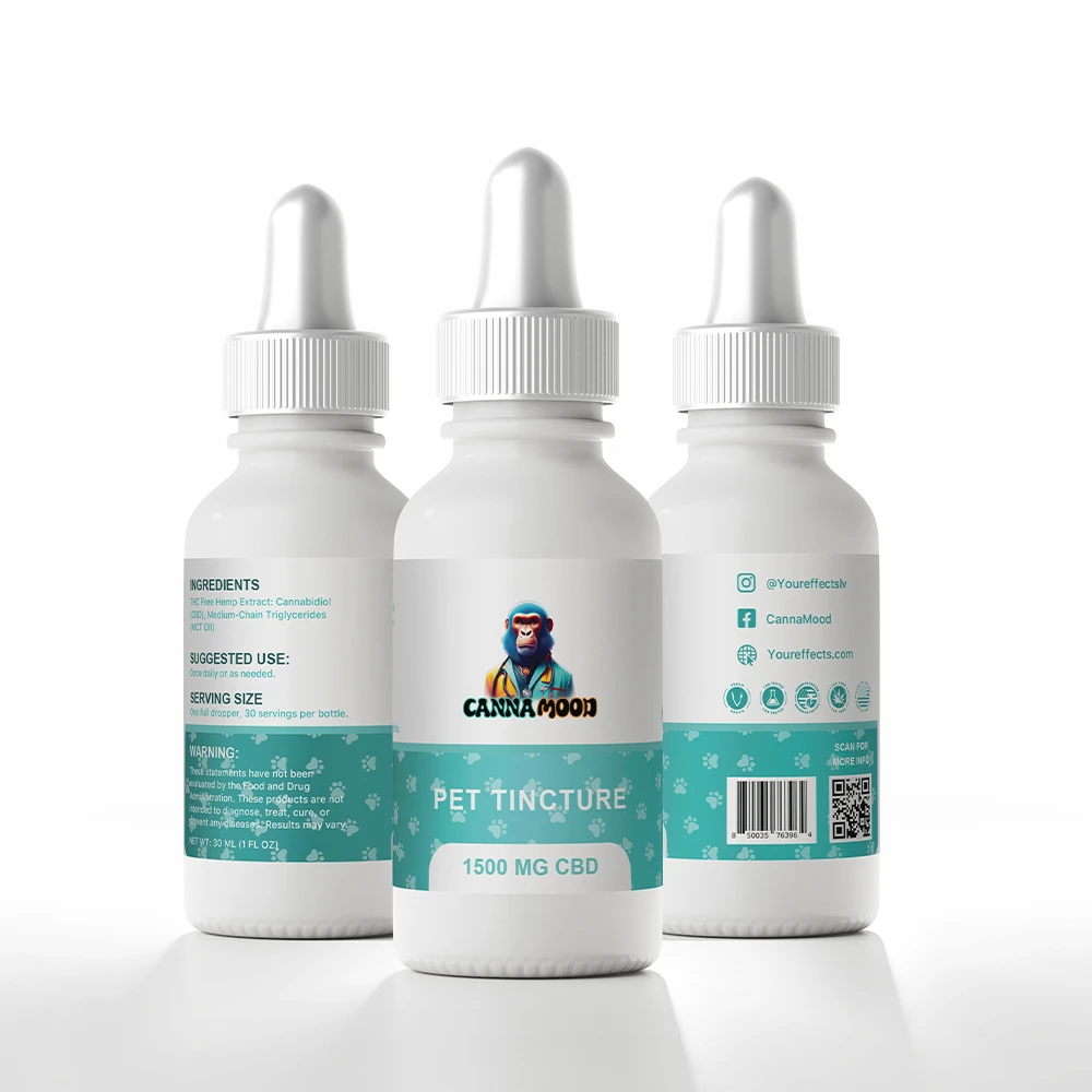 Canna Mood CBD Pet Tincture dropper bottle held by a hand near a calm dog lying on a couch in natural light