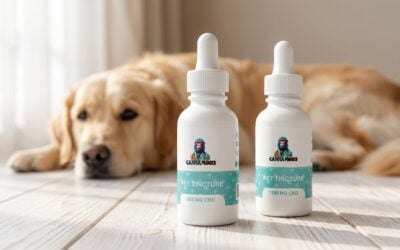 CBD for Dogs: A Complete Guide to Pet CBD Tinctures and Dosing