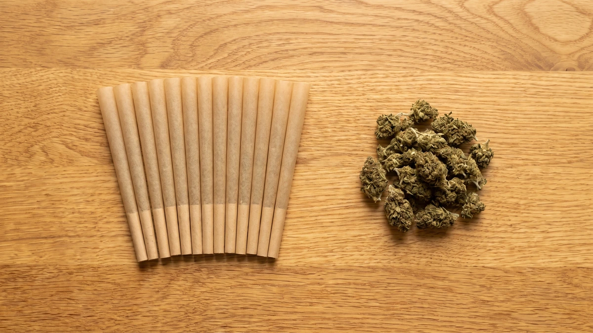 Flat lay of CBD pre-roll cones and dried hemp flower